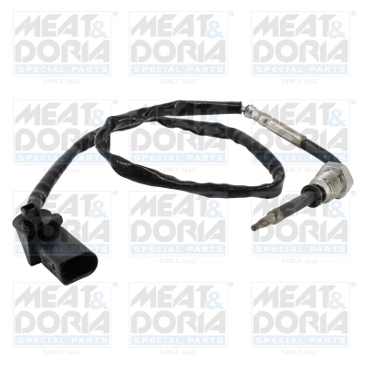 Sensor, exhaust gas temperature